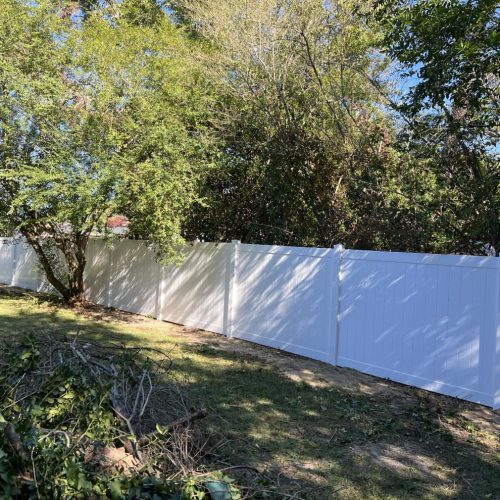 510254784_1448659672823114_8655553155719030358_n