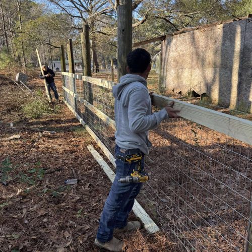 511966541_3119696821531805_1440505439322638351_n