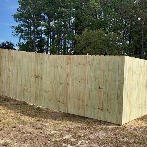 514306789_1402610294282255_4878728626045772936_n